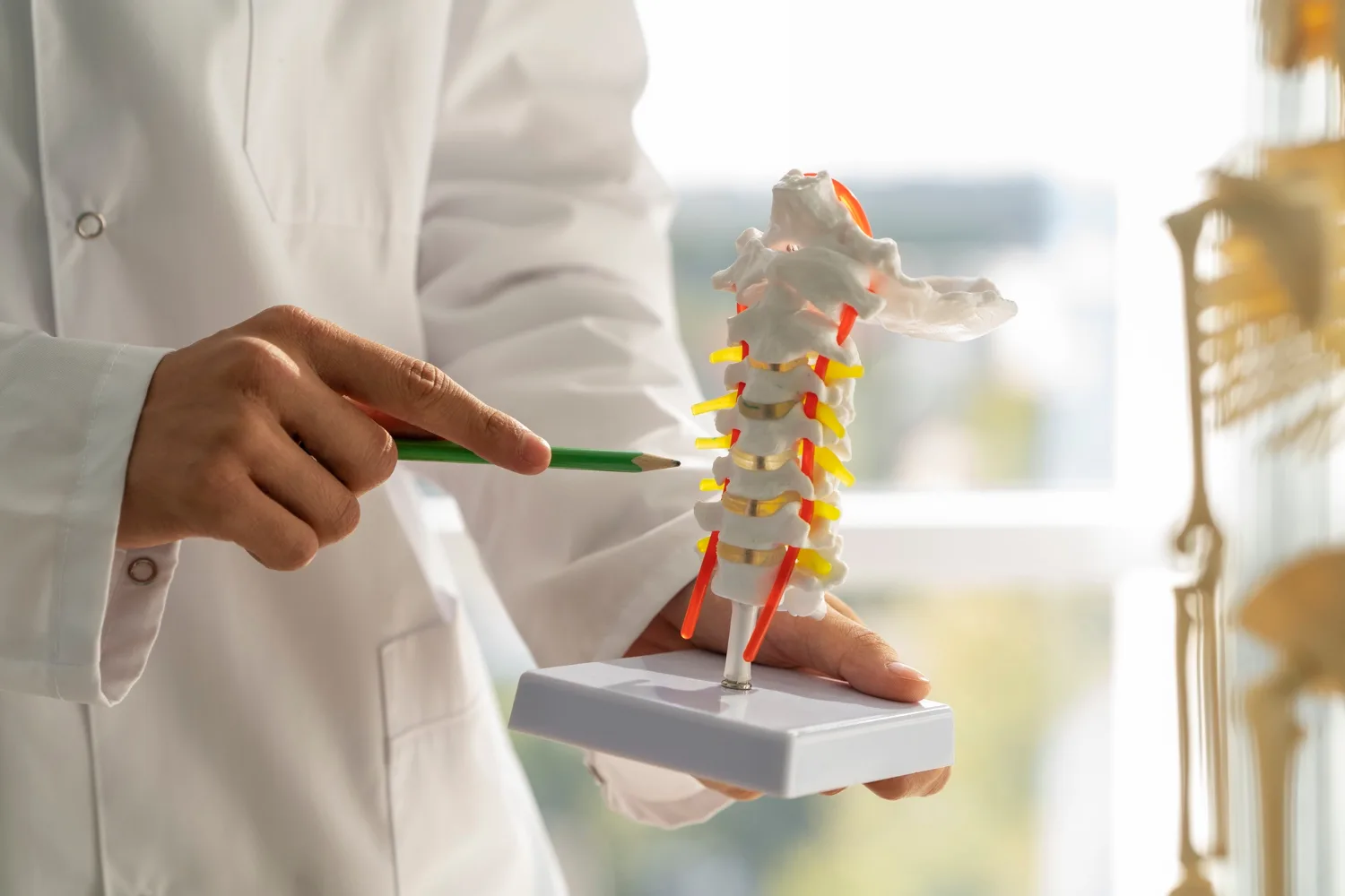 Segunda opinión, seguimiento y rehabilitación coordinada en CDMX: atención neuroquirúrgica integral